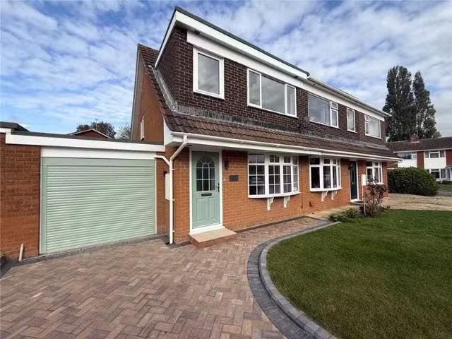 House for rent