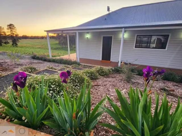 House for rent in Orange, New South Wales