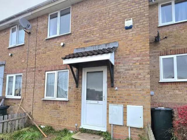 House for rent