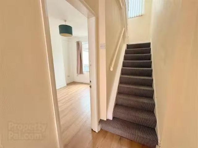 House to rent