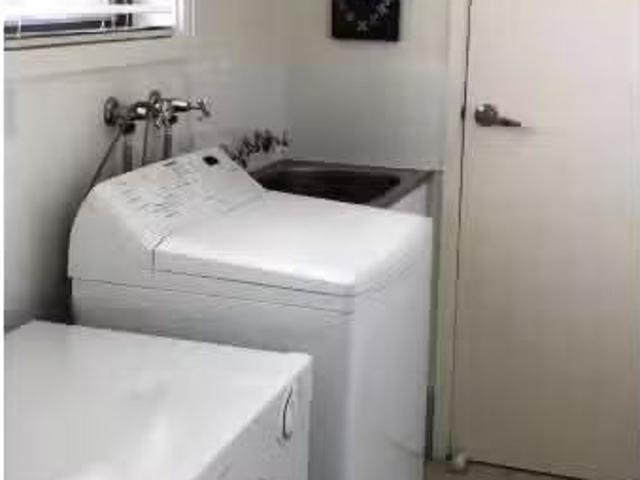 House for rent in Lemon Tree, New South Wales