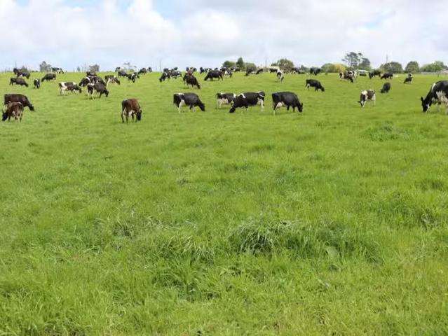 House for rent in Taranaki