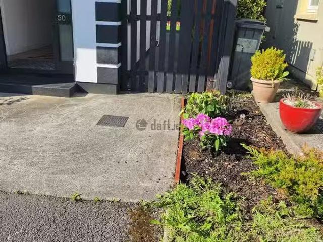 House to rent