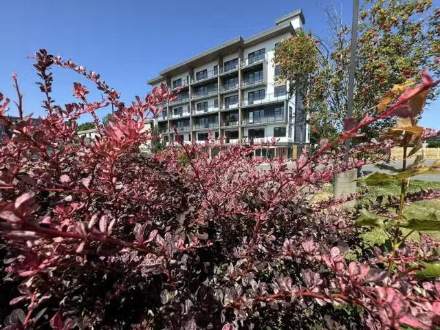 Condo for rent in Courtenay, British Columbia