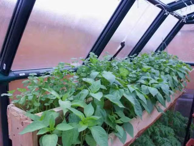 Condo for rent in Kingston, Ontario