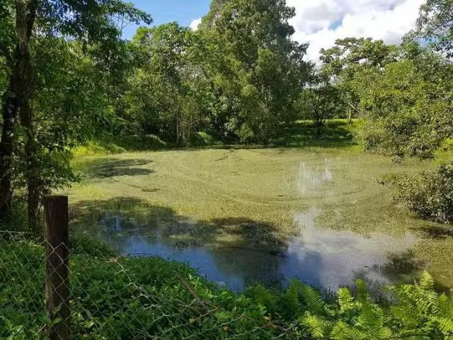 House for rent in Mossman, Queensland