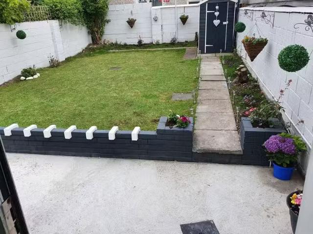 House to rent