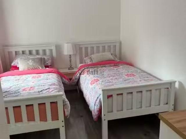 House to rent