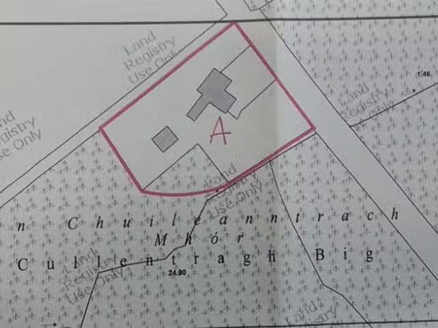 House to rent