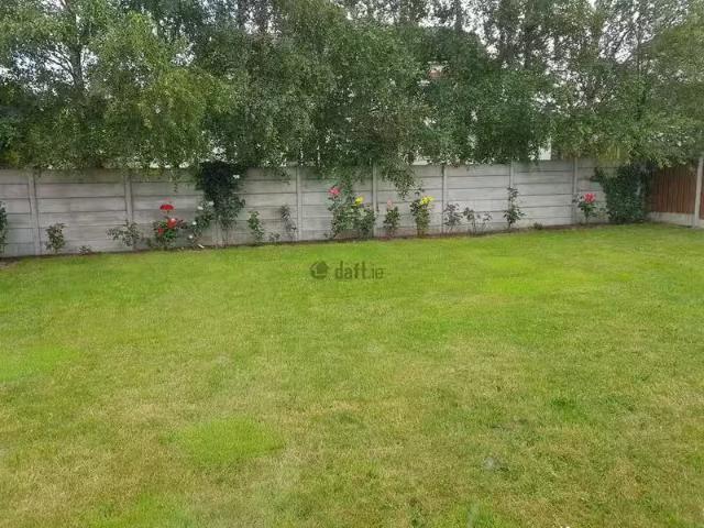 House to rent