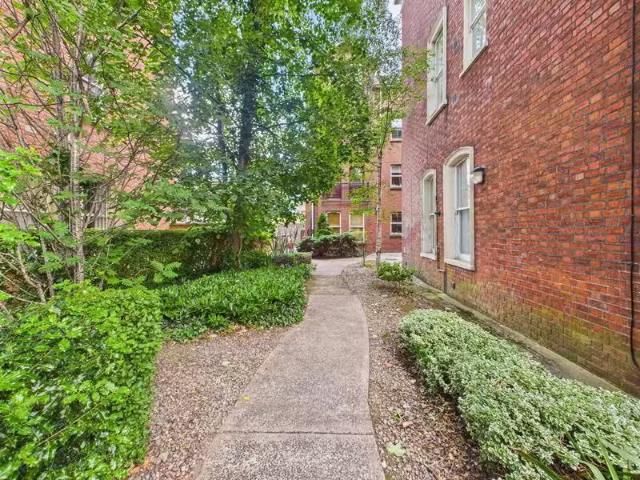 Apartment to rent