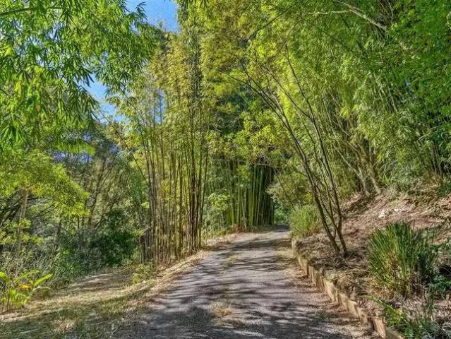Apartment for rent in Goonengerry, New South Wales