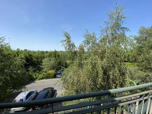 Apartment to rent