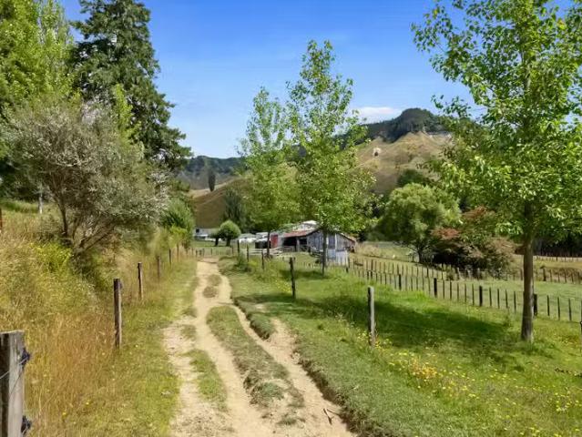 House for rent