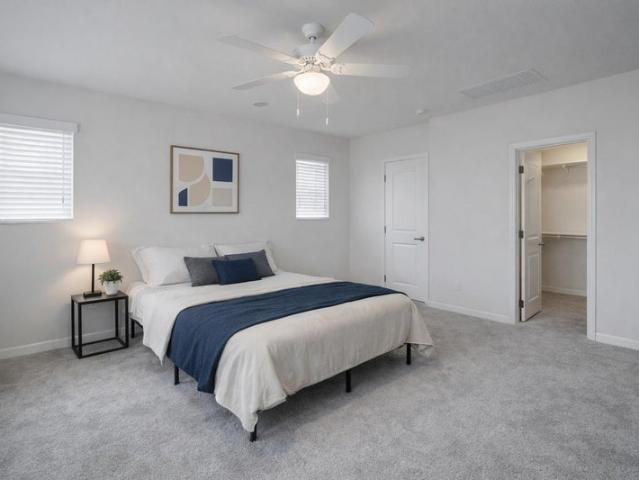 Room for rent in Chandler, Arizona