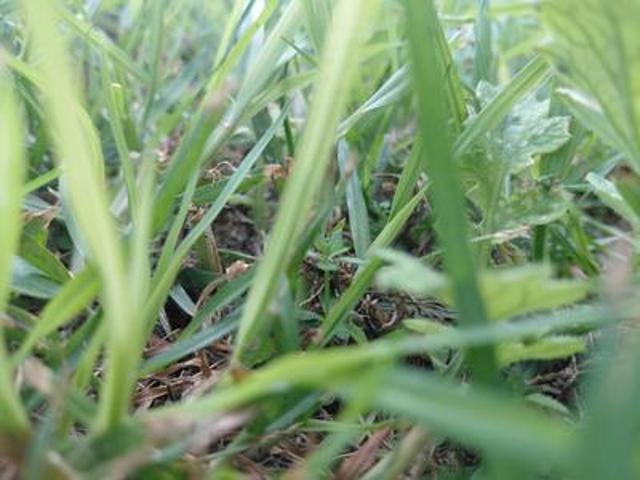 Land for sale in East London, Eastern Cape