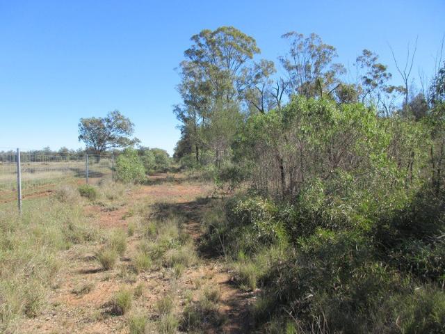 Cottage for sale in Tara, Queensland