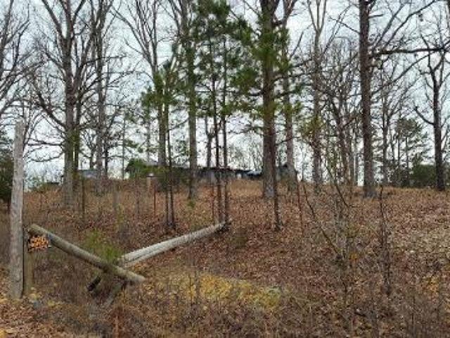 Land for sale in Mount Ida, Arkansas