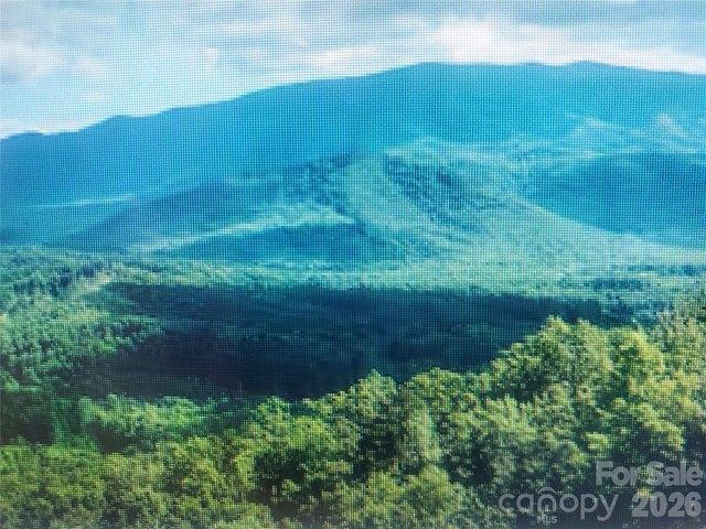 Land for sale in Clyde, Haywood County