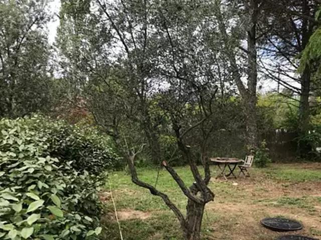 Terrain vente à Montpellier, Juvignac