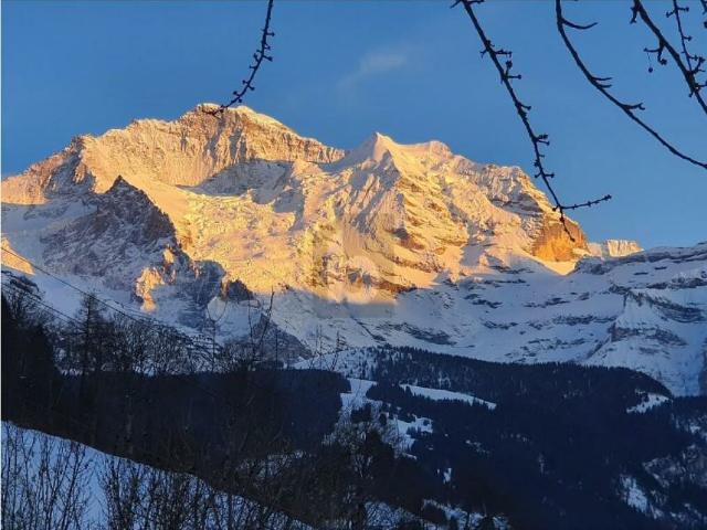Haus kaufen in Lauterbrunnen, Bern
