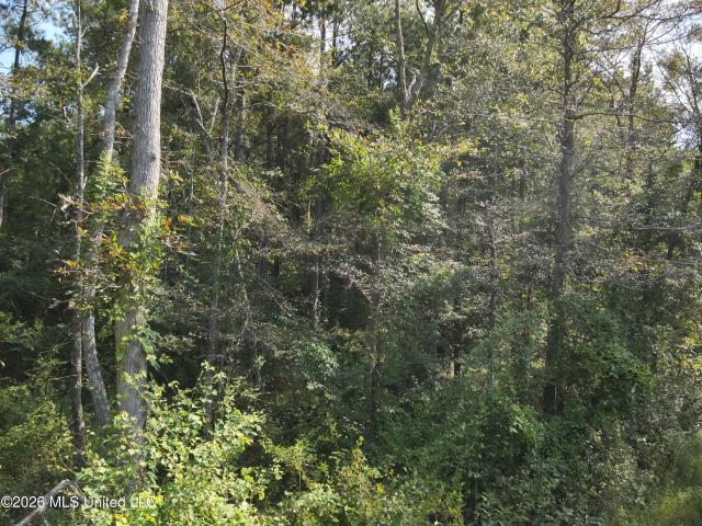 Land for sale in Oak Vale, Mississippi