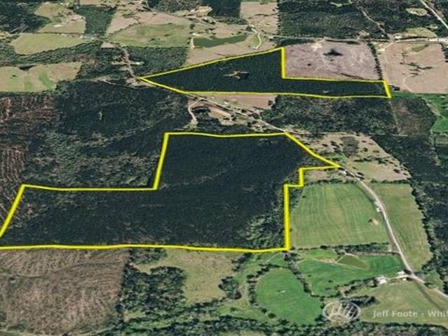 Land for sale in Mendenhall, Mississippi