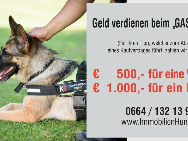 Grundstück kaufen in Bad Hofgastein, Salzburg