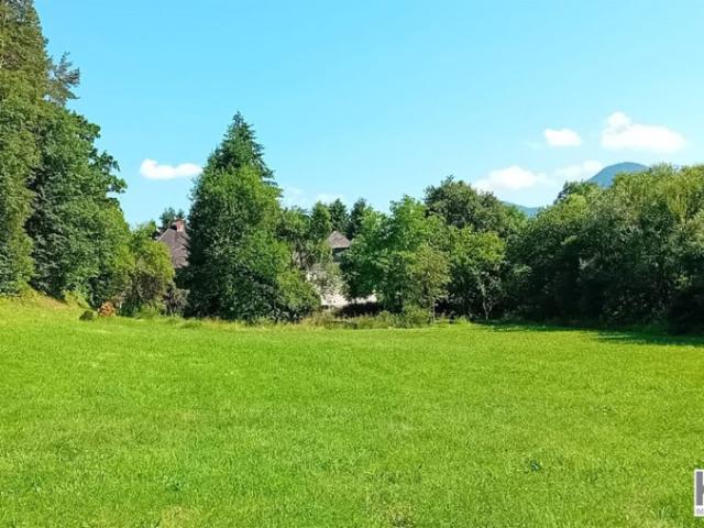 Haus kaufen in Loibach/Libuče, Bleiburg