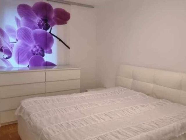 Wohnung kaufen in Hallein, Bezirk Hallein