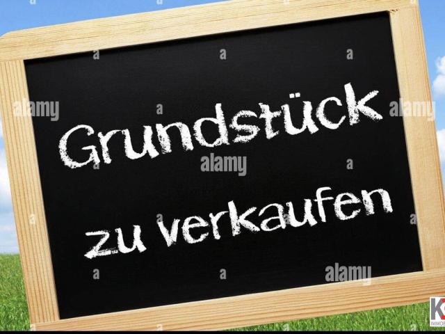 Immobilie kaufen in Berg, Hallwang