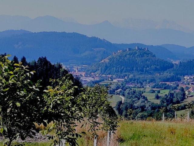 Grundstück kaufen in Griffen, Kärnten