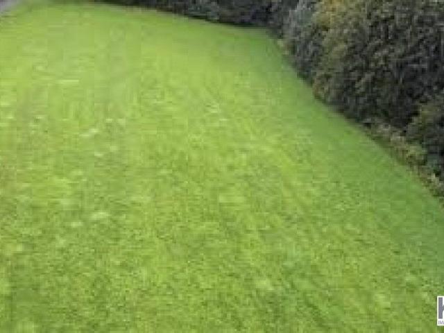 Immobilie kaufen in Liefering, Salzburg