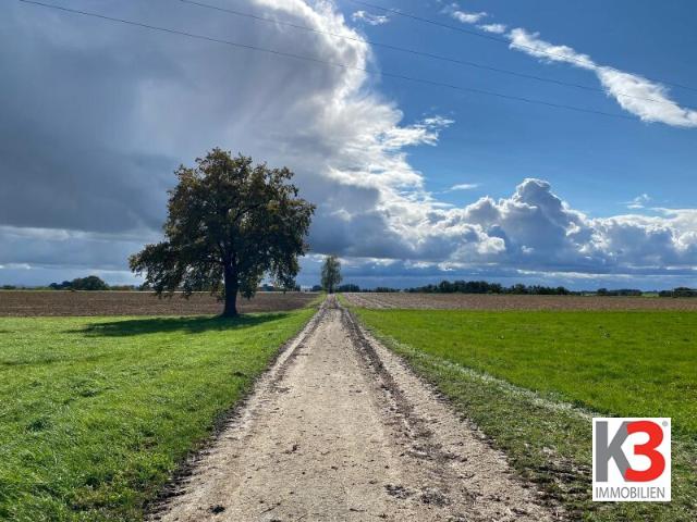 Landwirtschaft kaufen in Obernberg am Inn, Oberösterreich