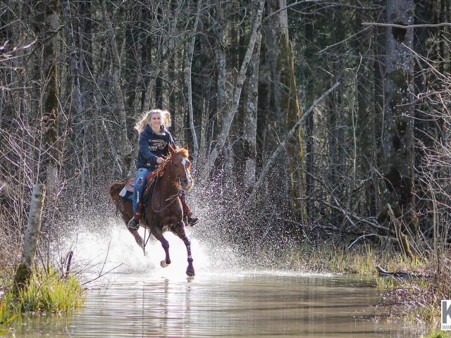 Gewerbe kaufen in Auerbach, Oberösterreich