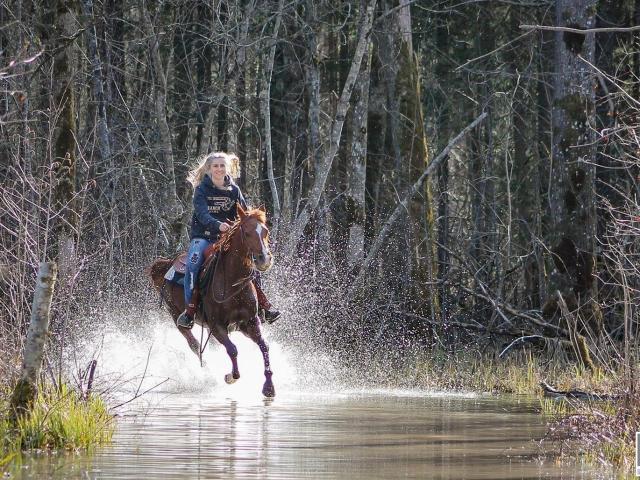 Landwirtschaft kaufen in Auerbach, Oberösterreich