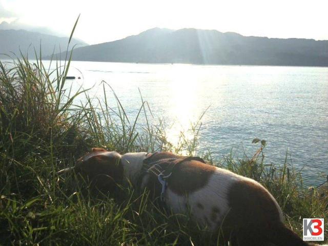 Immobilie kaufen in Seefeld, Steinbach am Attersee