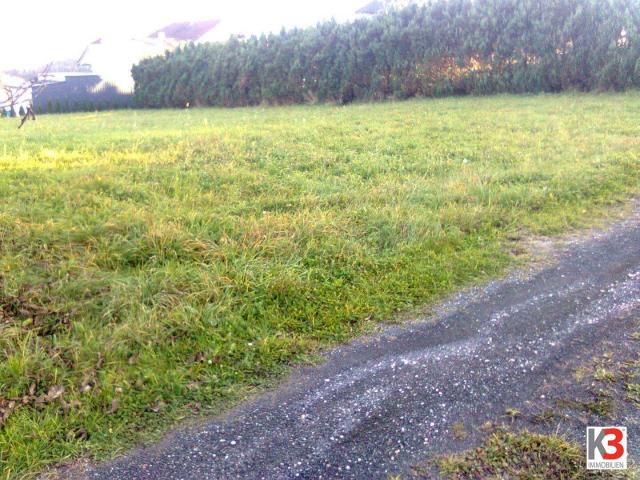 Immobilie kaufen in Rosegg, Kärnten