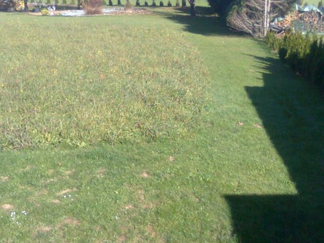 Grundstück kaufen in Rosegg, Kärnten