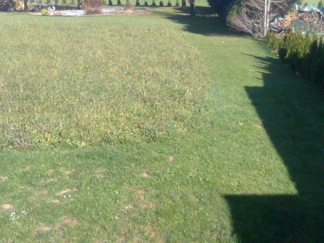 Grundstück kaufen in Rosegg, Kärnten