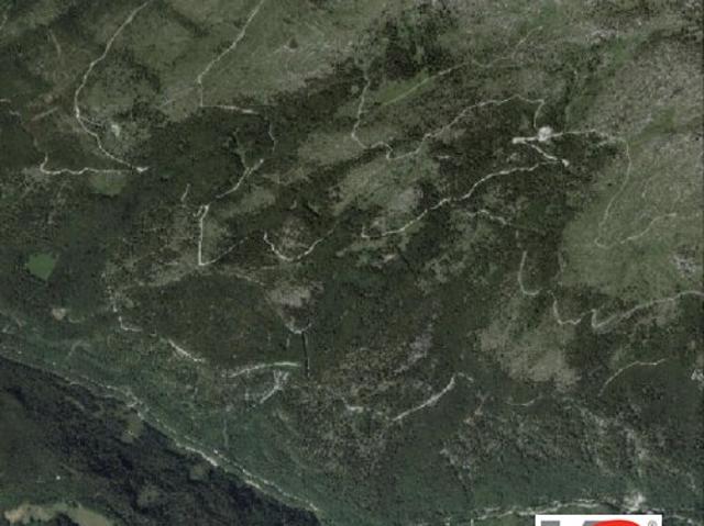 Grundstück kaufen in Ahorn, Oberösterreich