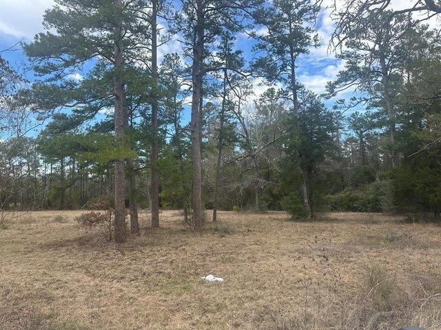 Land for sale in Apple Springs, Texas