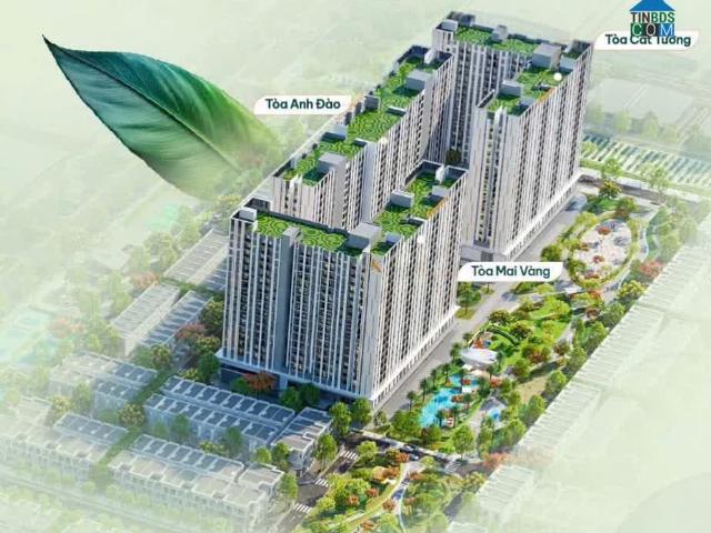 Căn hộ bán tại Gia Lai