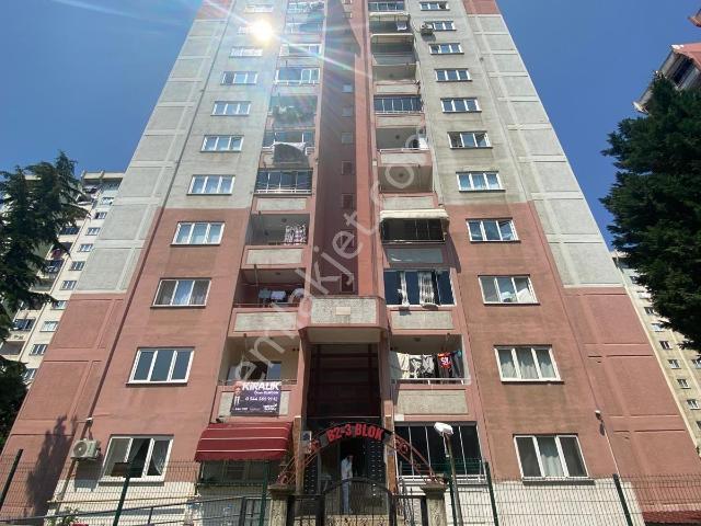 İlkadim, Samsun içerisinde satılık mülk