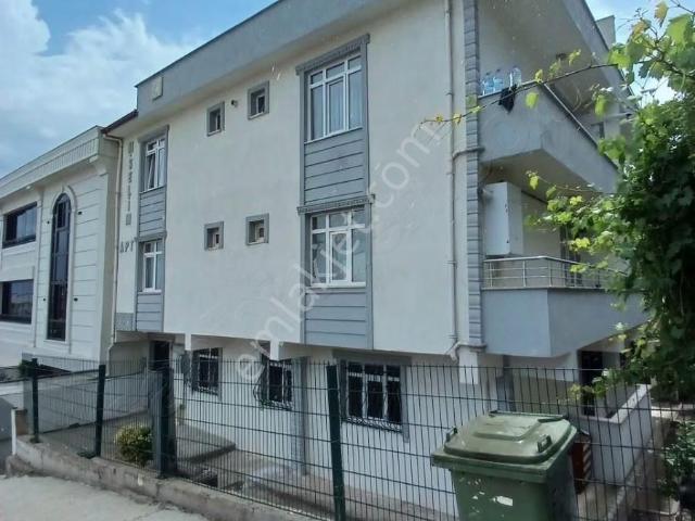 Körfez, Kocaeli içerisinde kiralık mülk