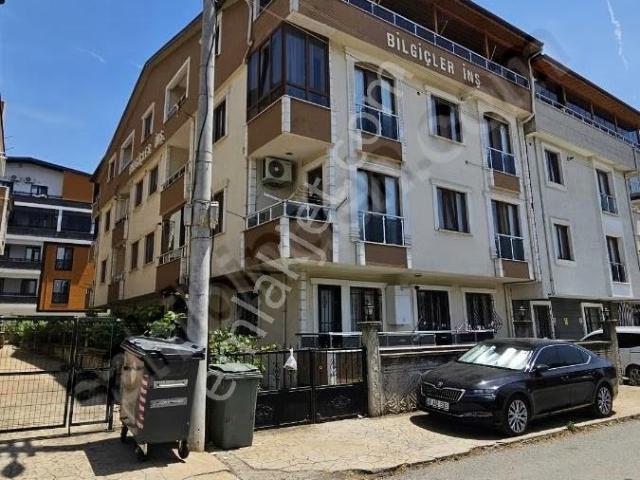 Körfez, Kocaeli içerisinde kiralık mülk