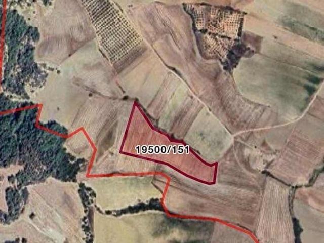 Sariçam, Adana içerisinde satılık Arsa