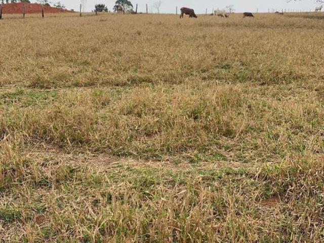 Terreno venda em Santa Isabel, Região Geográfica Intermediária de São Paulo