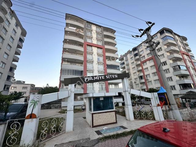 Kilis Merkez, Kilis içerisinde kiralık mülk