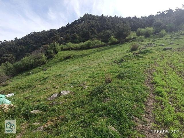 İzmir içerisinde satılık Arsa